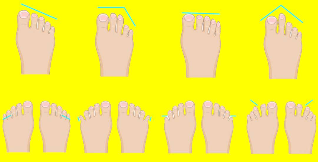 types of toe shapees