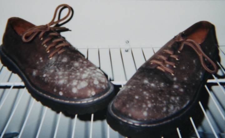 mold closet - prevent mold on shoes in closet