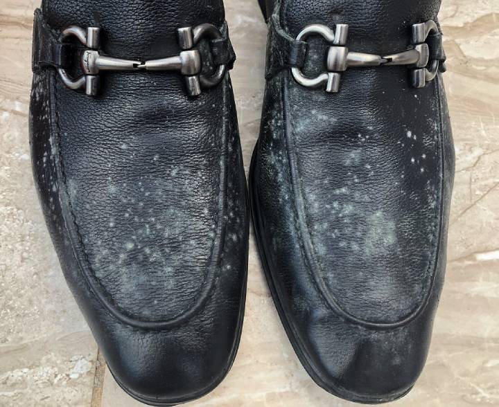 shoe - prevent mold on shoes in closet