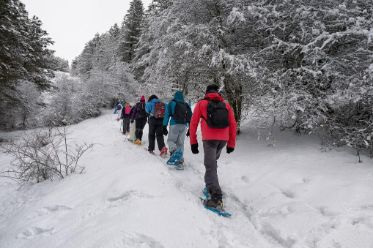 best boots for snowshoeing